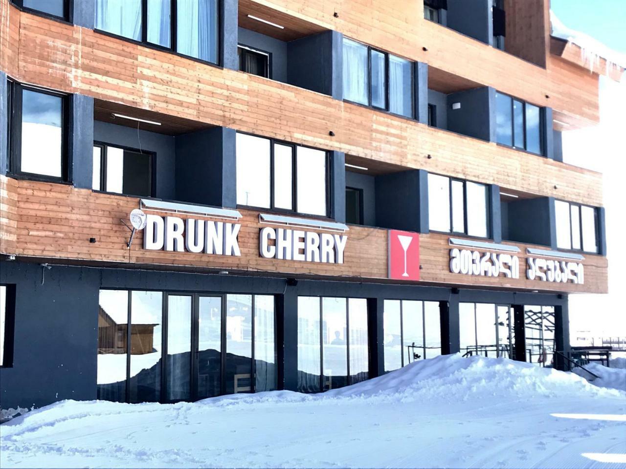 Comfortable Apartment, New Gudauri, Ski Resort Екстериор снимка